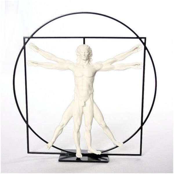 Statues Leonardo DaVinci Vitruvius proportions illustrates Male Nude Sculptures